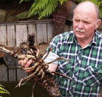 Lobster Ponds - Kalgoorlie Accommodation