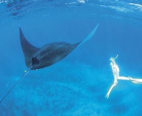 Ningaloo Reef - Kalgoorlie Accommodation 3