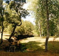 Oldina Picnic Area - Kalgoorlie Accommodation