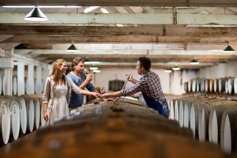 Seppeltsfield Winery Tours - Kalgoorlie Accommodation 8