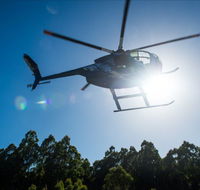 Tall Timbers Adventure Tours - Kalgoorlie Accommodation