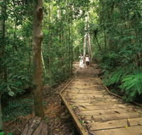 Lake Barrine Circuit Track Crater Lakes National Park - Kalgoorlie Accommodation