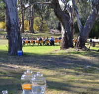 Glendale Citrus  Hazelnut Orchard - Kalgoorlie Accommodation