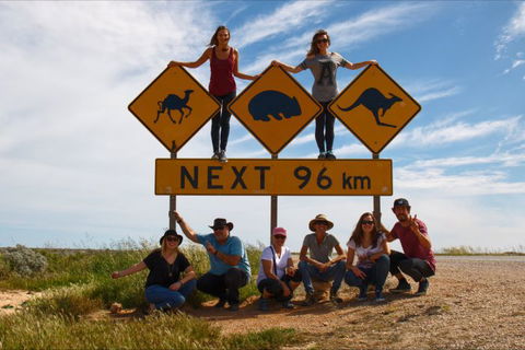 Nullarbor Traveller - Kalgoorlie Accommodation 35