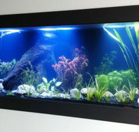 Aquariums in Cairns - Kalgoorlie Accommodation
