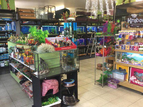 Pets Wonderland - Kalgoorlie Accommodation 2