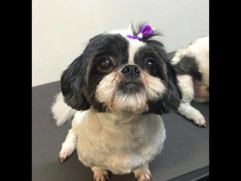 Pets Wonderland - Kalgoorlie Accommodation 4