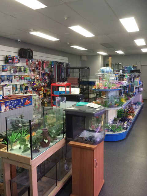 Nambour Pet Shop - Kalgoorlie Accommodation 0
