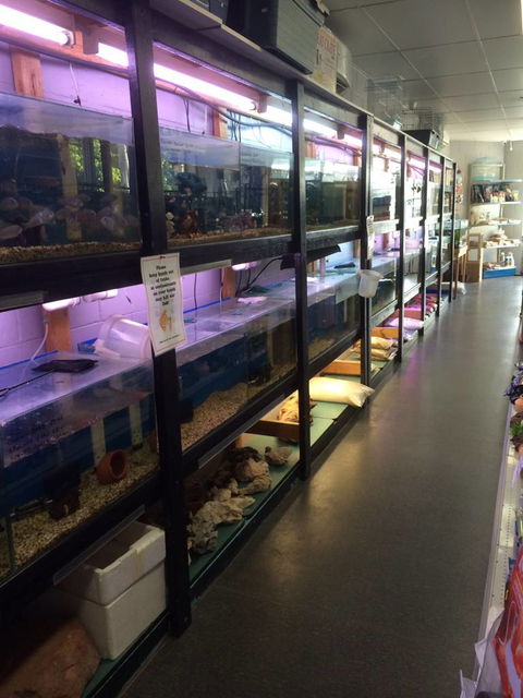 Nambour Pet Shop - Kalgoorlie Accommodation 1