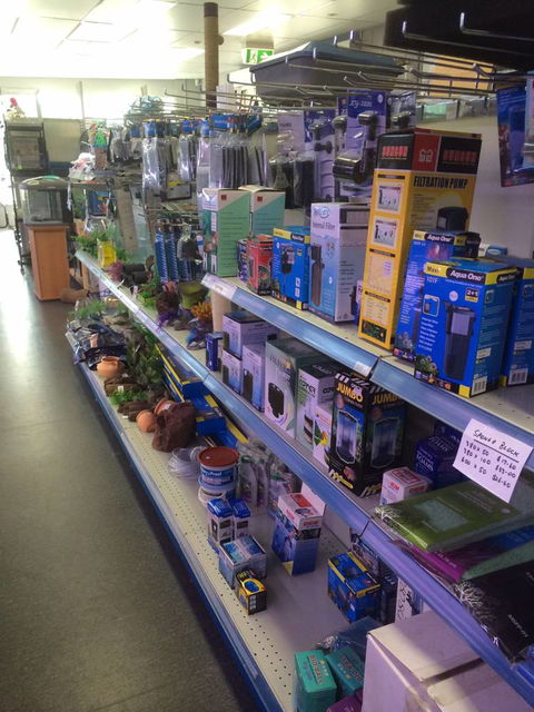Nambour Pet Shop - Kalgoorlie Accommodation 2