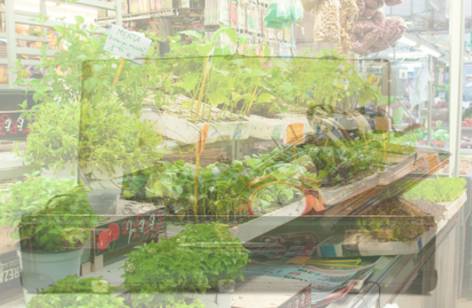 Warrawong Markets - Kalgoorlie Accommodation 2