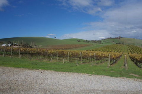 Wine Compass - Kalgoorlie Accommodation 1