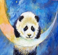 Panda Moon - Statesman Hotel 7.00-9.00pm - Kalgoorlie Accommodation