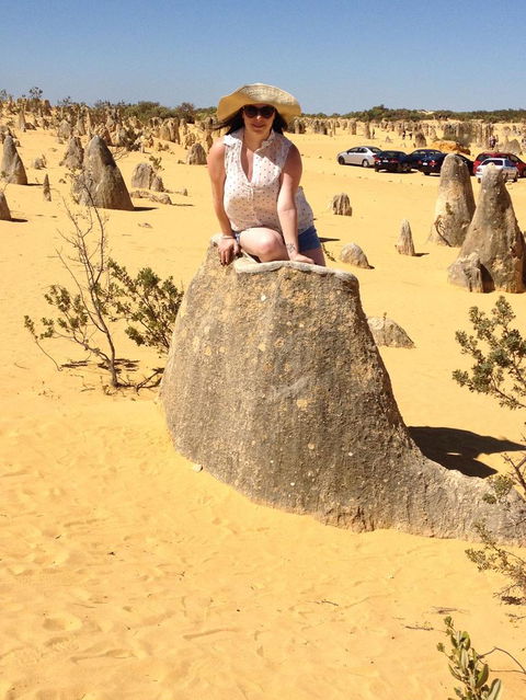 Pinnacles Desert, Koalas And Sandboarding 4WD Day Tour From Perth - Kalgoorlie Accommodation 18