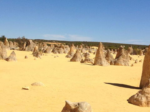 Pinnacles Desert, Koalas And Sandboarding 4WD Day Tour From Perth - Kalgoorlie Accommodation 15