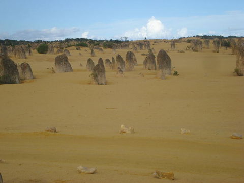 Pinnacles Desert, Koalas And Sandboarding 4WD Day Tour From Perth - Kalgoorlie Accommodation 23