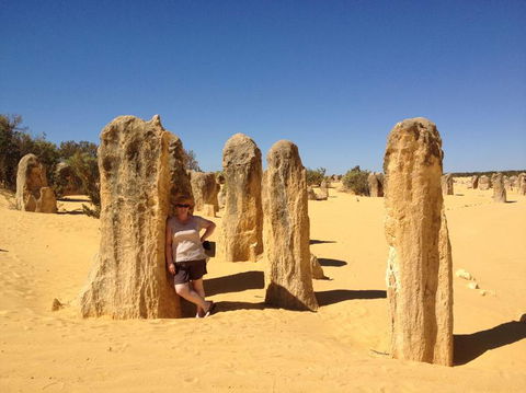 Pinnacles Desert, Koalas And Sandboarding 4WD Day Tour From Perth - Kalgoorlie Accommodation 17
