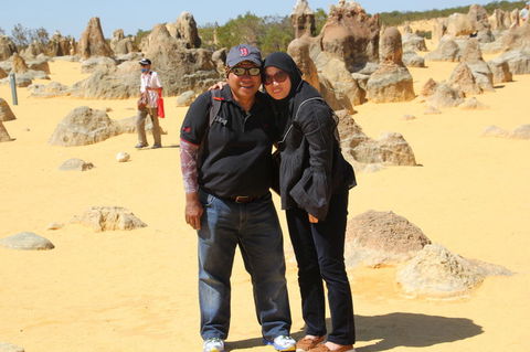Pinnacles Desert, Koalas And Sandboarding 4WD Day Tour From Perth - Kalgoorlie Accommodation 12