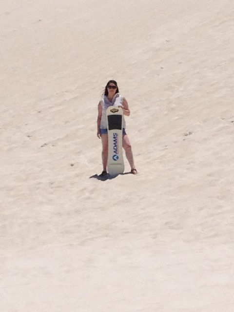 Pinnacles Desert, Koalas And Sandboarding 4WD Day Tour From Perth - Kalgoorlie Accommodation 21