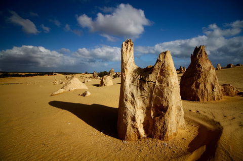 Pinnacles Desert, Koalas And Sandboarding 4WD Day Tour From Perth - Kalgoorlie Accommodation 6