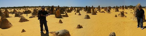 Pinnacles Desert, Koalas And Sandboarding 4WD Day Tour From Perth - Kalgoorlie Accommodation 11