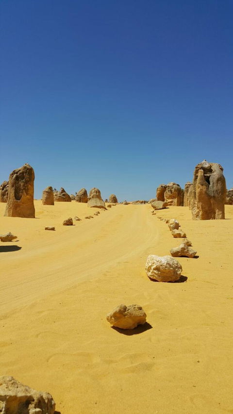 Pinnacles Desert, Koalas And Sandboarding 4WD Day Tour From Perth - Kalgoorlie Accommodation 3
