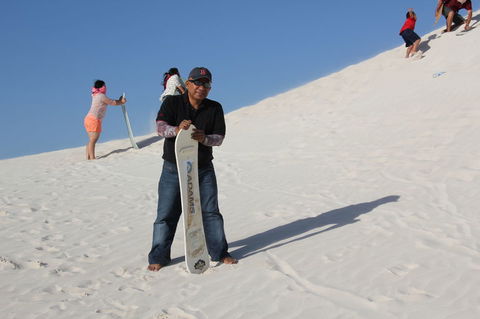 Pinnacles Desert, Koalas And Sandboarding 4WD Day Tour From Perth - Kalgoorlie Accommodation 9