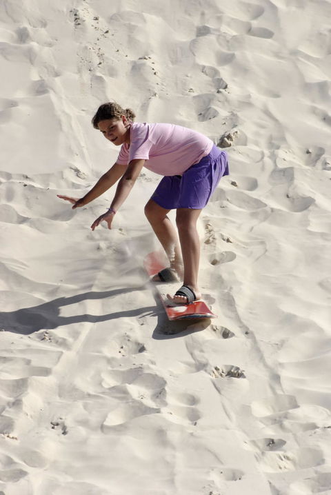 Pinnacles Desert, Koalas And Sandboarding 4WD Day Tour From Perth - Kalgoorlie Accommodation 24