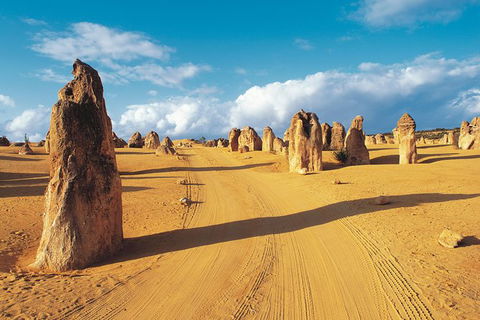 Pinnacles Desert, Koalas And Sandboarding 4WD Day Tour From Perth - Kalgoorlie Accommodation 0