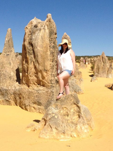 Pinnacles Desert, Koalas And Sandboarding 4WD Day Tour From Perth - Kalgoorlie Accommodation 16