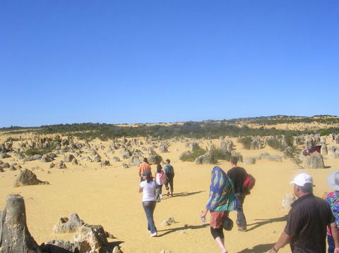 Pinnacles Desert, Koalas And Sandboarding 4WD Day Tour From Perth - Kalgoorlie Accommodation 25