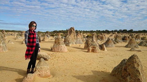 Pinnacles Desert, Koalas And Sandboarding 4WD Day Tour From Perth - Kalgoorlie Accommodation 13