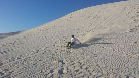 Pinnacles Desert, Koalas And Sandboarding 4WD Day Tour From Perth - Kalgoorlie Accommodation 14
