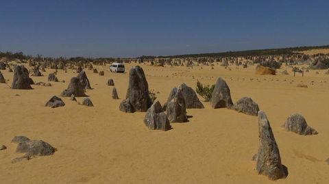 Pinnacles Desert, Koalas And Sandboarding 4WD Day Tour From Perth - Kalgoorlie Accommodation 4