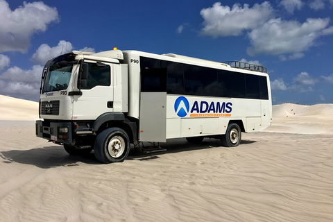 Pinnacles Desert, Koalas And Sandboarding 4WD Day Tour From Perth - Kalgoorlie Accommodation 28