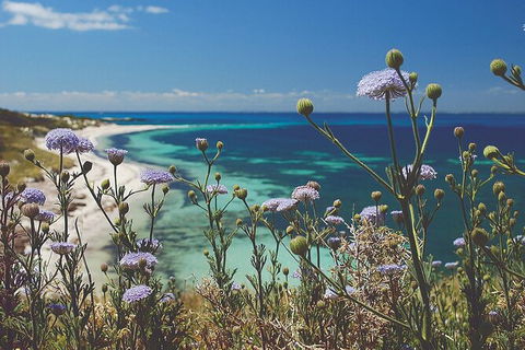Rottnest Island Full-Day Trip With Guided Island Tour From Perth - Kalgoorlie Accommodation 6