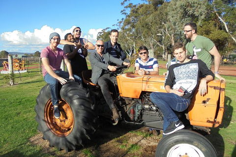 1/2 Day Swan Valley Wine Cheese & Chocolate Tour Inc Afternoon Cruise To Perth - Kalgoorlie Accommodation 8
