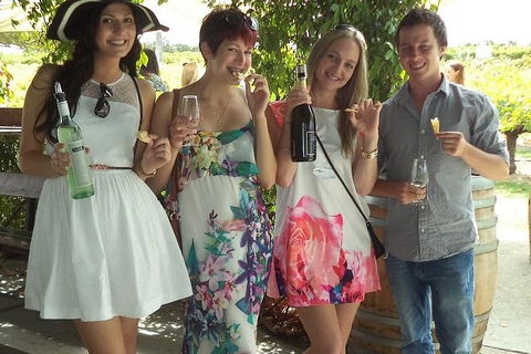 1/2 Day Swan Valley Wine Cheese & Chocolate Tour Inc Afternoon Cruise To Perth - Kalgoorlie Accommodation 2