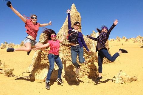 Pinnacles And Swan Valley Day Trip From Perth Including Caversham Wildlife Park, Vineyard Lunch, Pinnacles And Sandboarding - Kalgoorlie Accommodation 0