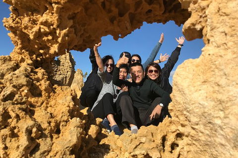 Pinnacles And Yanchep National Park Day Trip From Perth Including Lobster Shack Lunch And Sandboarding - Kalgoorlie Accommodation 5