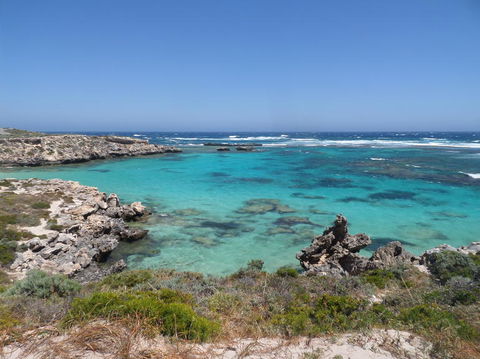Rottnest Island Tour From Perth Or Fremantle Including Adventure Speed Boat Ride - Kalgoorlie Accommodation 3