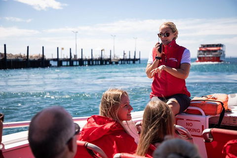 Rottnest Island Tour From Perth Or Fremantle Including Adventure Speed Boat Ride - Kalgoorlie Accommodation 0