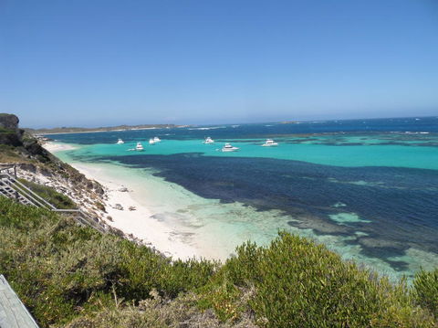 Rottnest Island Tour From Perth Or Fremantle Including Adventure Speed Boat Ride - Kalgoorlie Accommodation 2