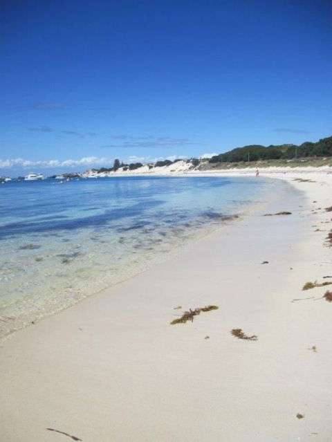 Rottnest Island Tour From Perth Or Fremantle Including Adventure Speed Boat Ride - Kalgoorlie Accommodation 4