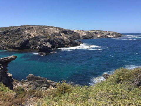 Rottnest Island Tour From Perth Or Fremantle Including Bus Tour - Kalgoorlie Accommodation 3