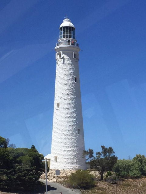 Rottnest Island Tour From Perth Or Fremantle Including Bus Tour - Kalgoorlie Accommodation 2