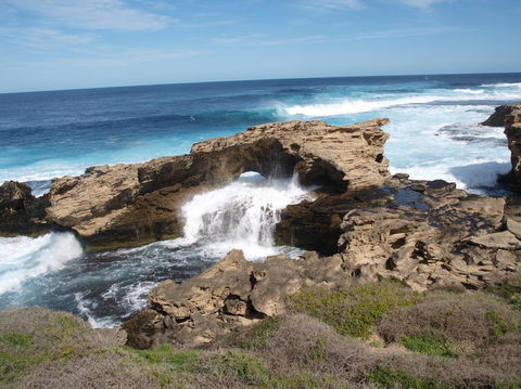 Rottnest Island Tour From Perth Or Fremantle Including Bus Tour - Kalgoorlie Accommodation 5