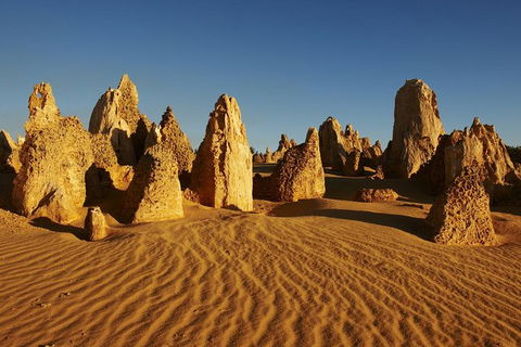 Pinnacles Day Trip From Perth Including Yanchep National Park - Kalgoorlie Accommodation 0