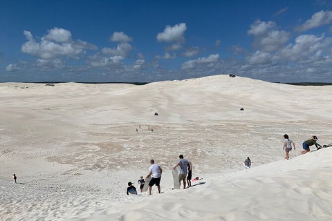 Pinnacles Day Trip From Perth Including Yanchep National Park - Kalgoorlie Accommodation 3