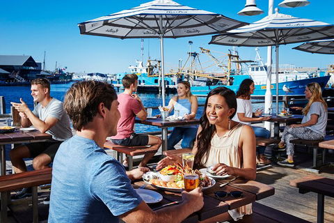 Full-Day Penguin Island & Fremantle Town - Kalgoorlie Accommodation 7